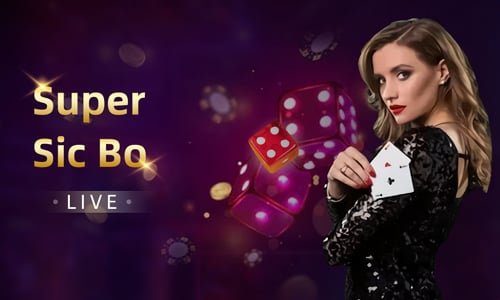 333bet app