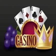 333bet app