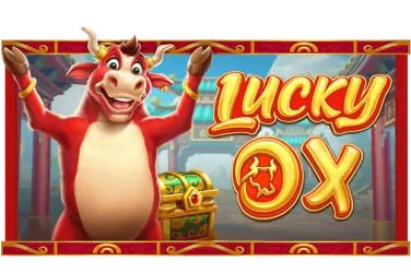 333bet app